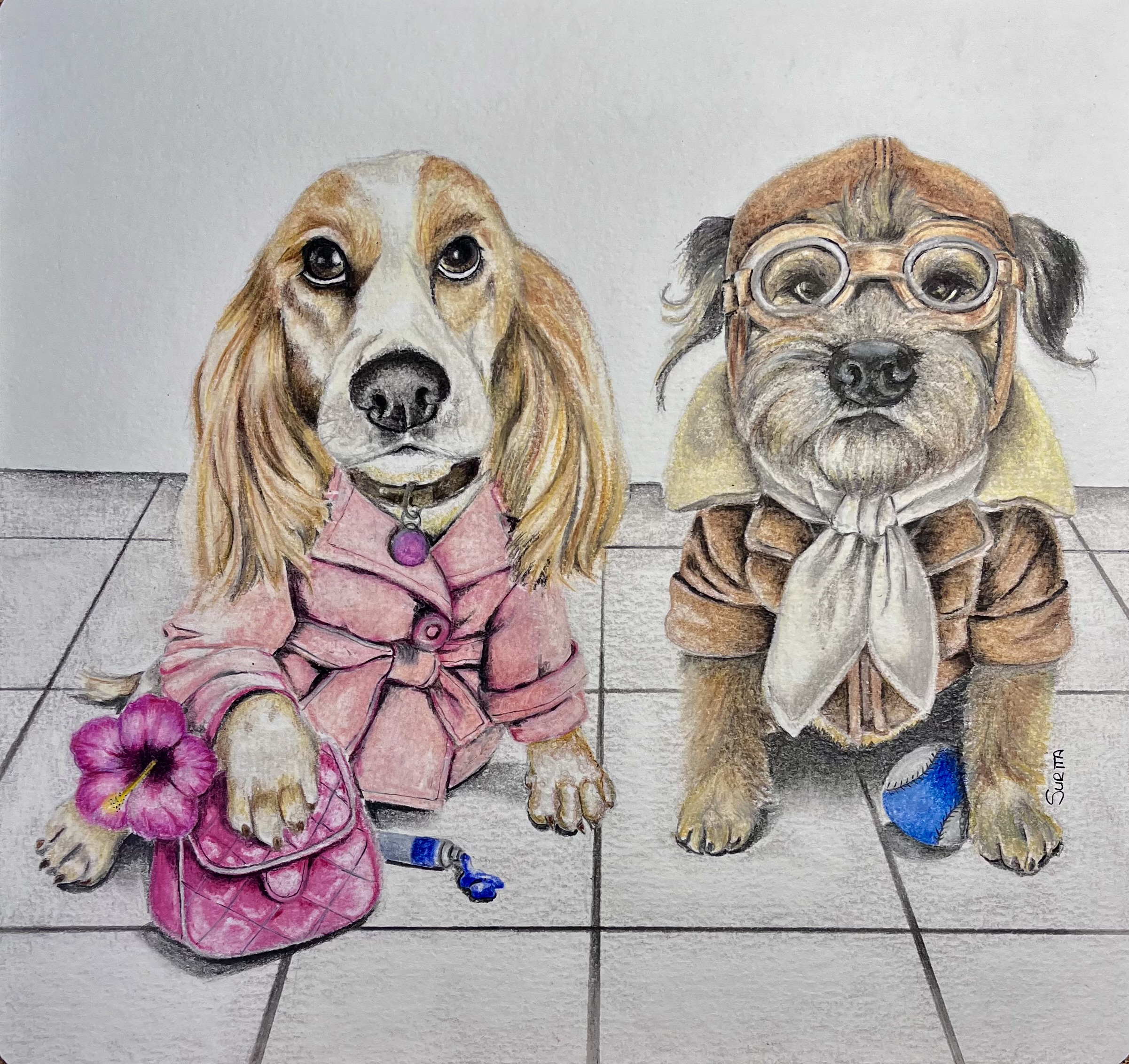 Pet Portrait Sample